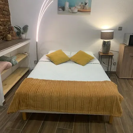 Studio 25M2 En Plein Coeur De Perpiñán Exterior foto