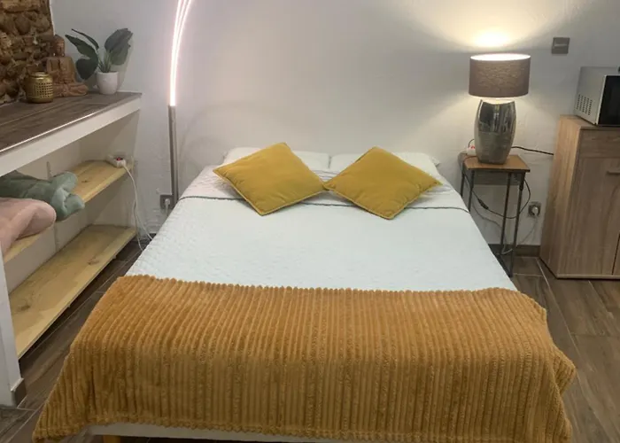Studio 25M2 En Plein Coeur De Perpignan