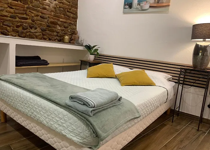 Studio 25M2 En Plein Coeur De Perpignan