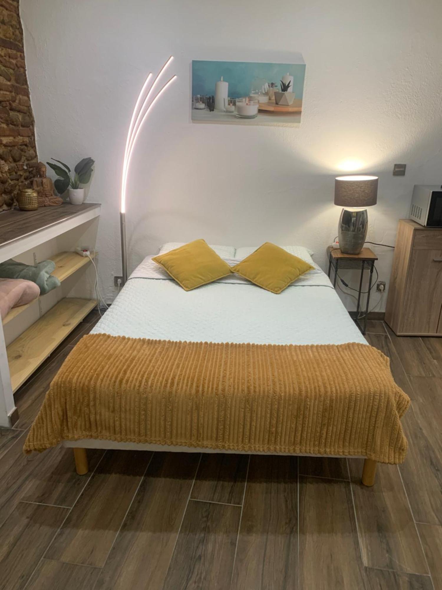25m2 En Plein Coeur De Perpignan